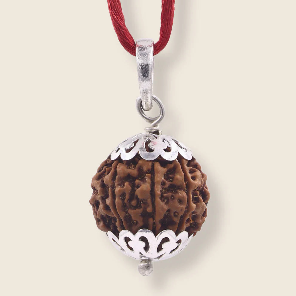 7 Mukhi Nepali Rudraksha - Limited Time Offer